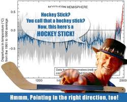Global warming hockey stick