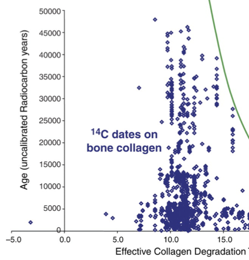 Collagen Decay by temperature