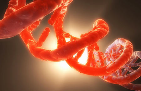 Illustration of a short segment of DNA