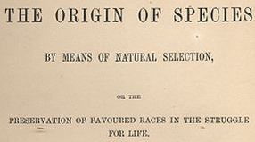 Darwin's Favored (human) Races