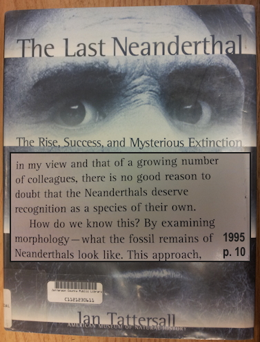 The Last Neanderthal book cover