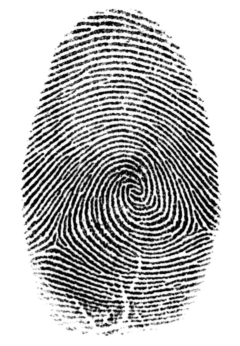 Neo-darwinism cannot create fingerprints