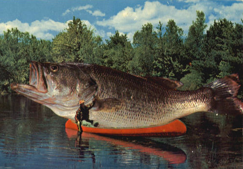 photoshoped oversized fish