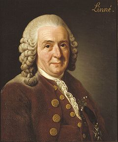 CarlLinnaeus.jpg