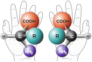 amino-acid-chirality.jpg