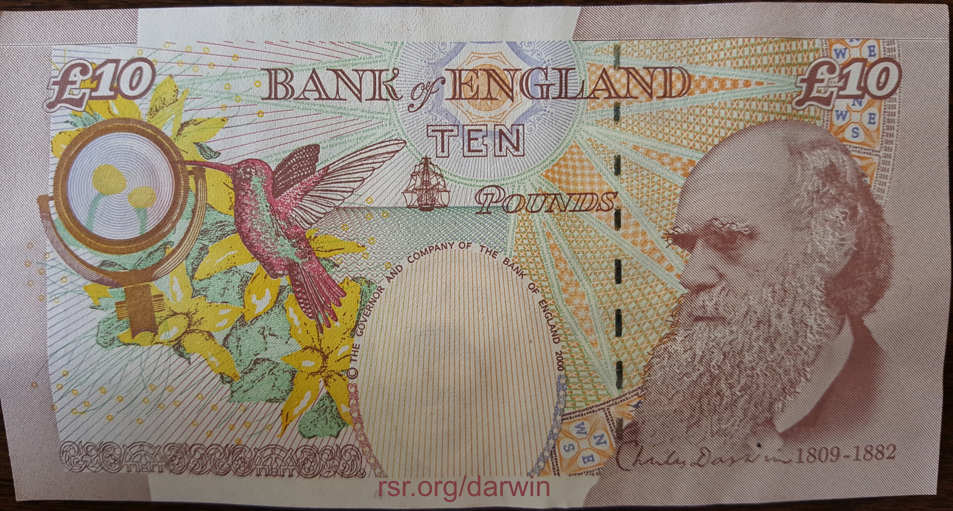 darwin-on-10-pound-british-note.jpg