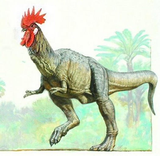 bbc earth chicken dinosaur