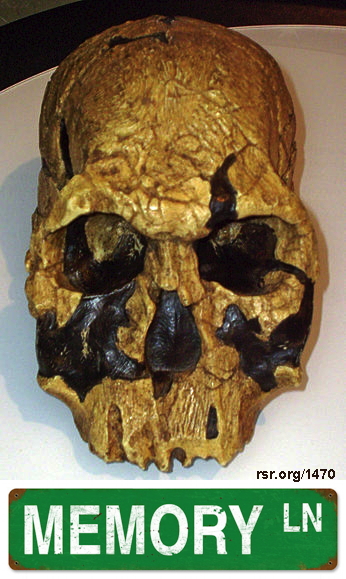 skull-1470-rsr-org.jpg
