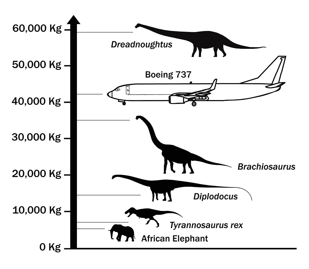 Behemoth, aka Dreadnoughtus, finally discovered!