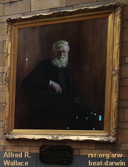 Alfred Russel Wallace