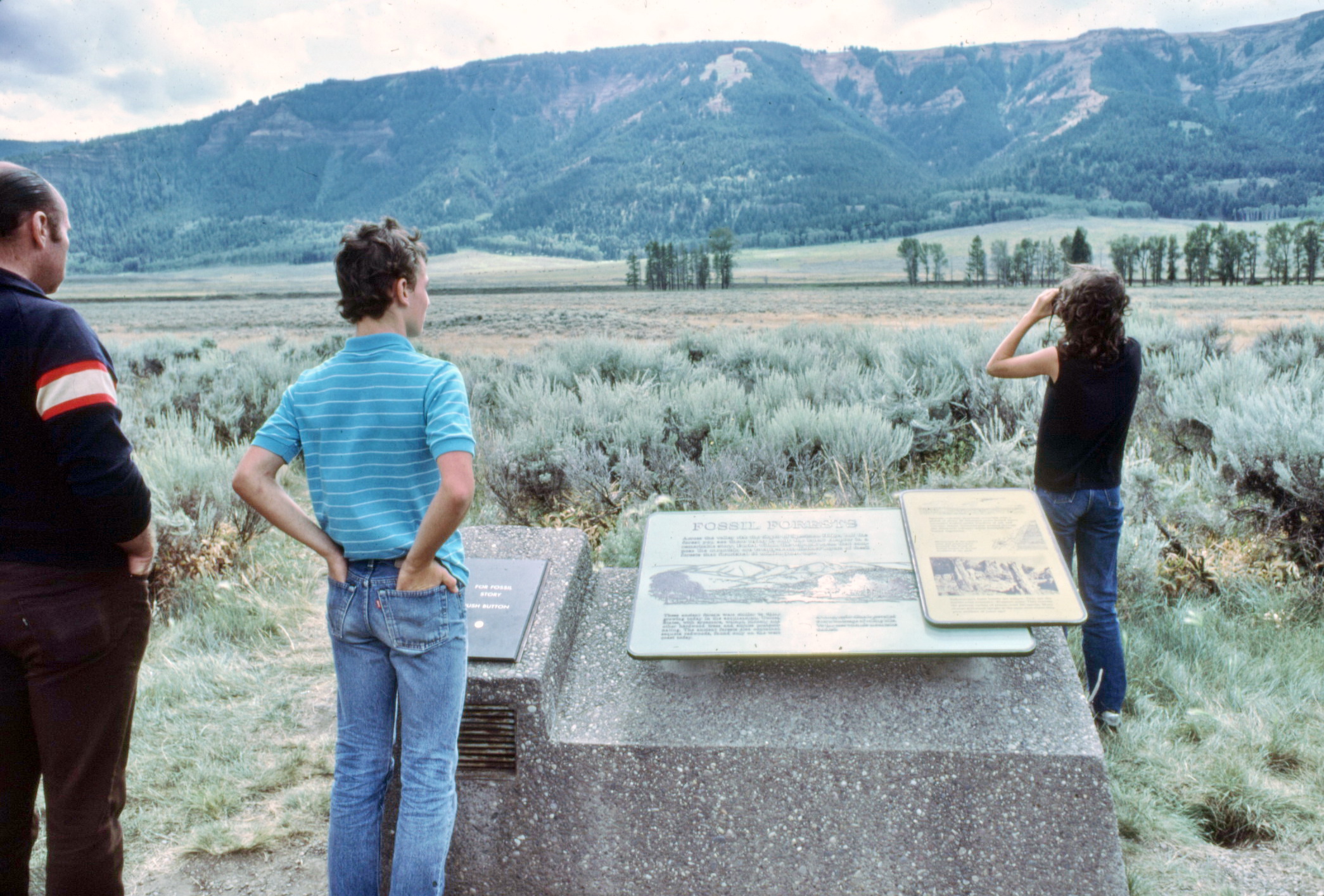 1983 photo of Yellowstone Specimen Ridge exhibit sign