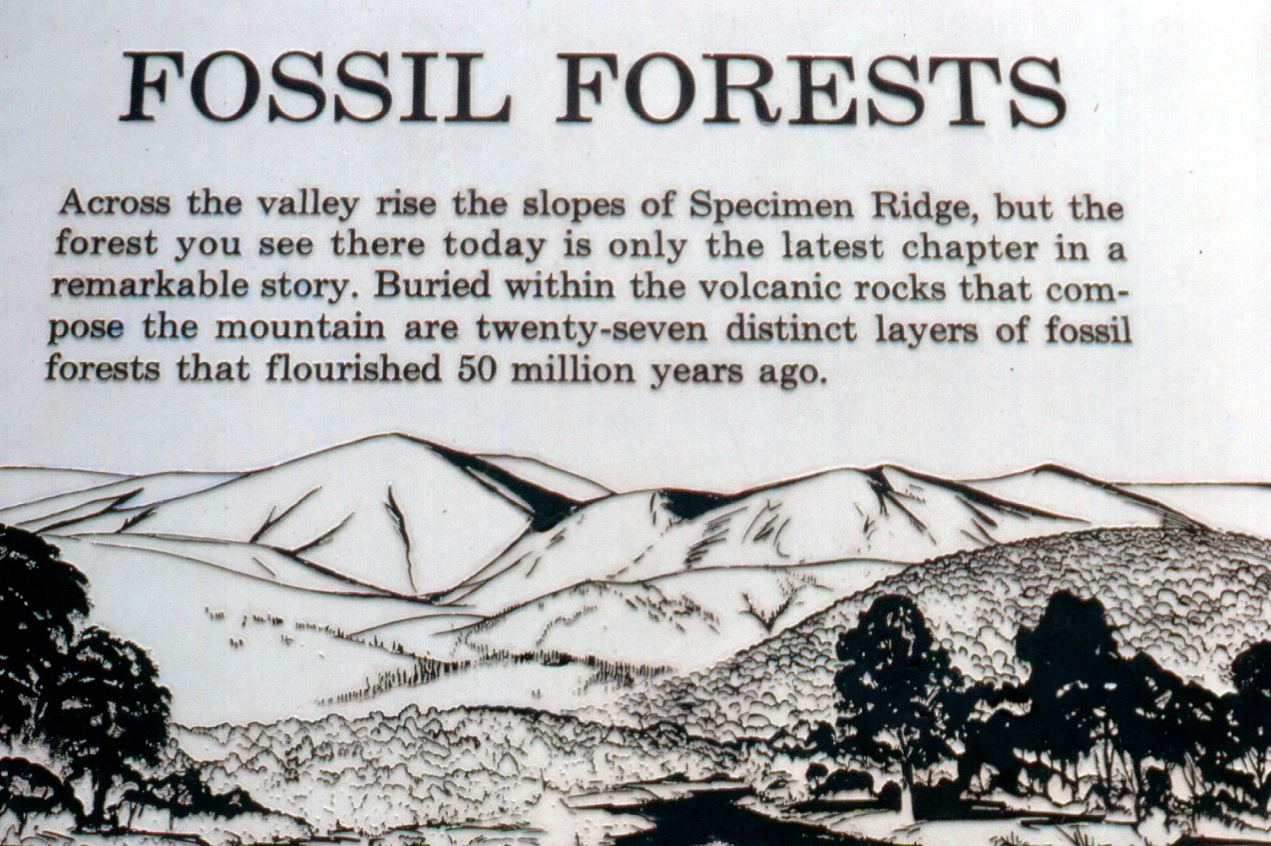 Close-up of 1983 Specimen Ridge exhibit sign