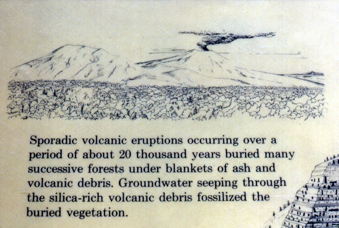 Close-up of 1983 Specimen Ridge exhibit sign